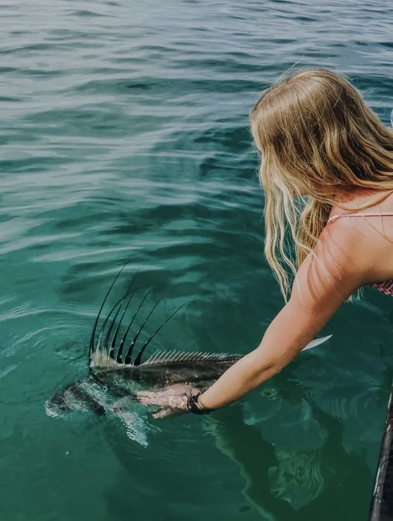 Cabo San Lucas Fishing Report – Spring Conditions