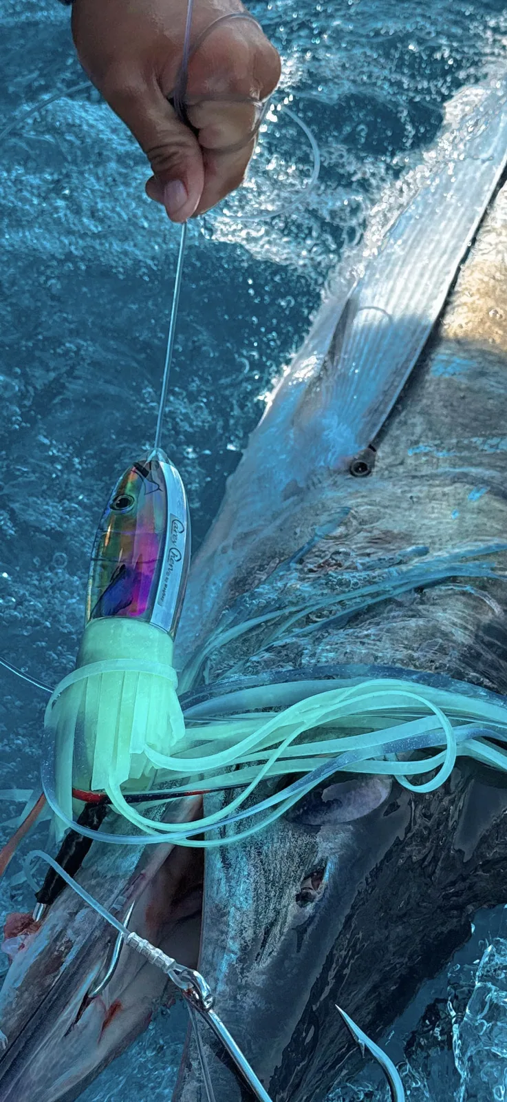 Cabo San Lucas sportfishing with Tag Cabo Sportfishing