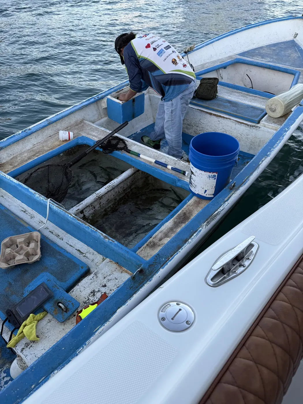 Catch photo shared by Henry Macanas on their Tag Cabo Sportfishing review