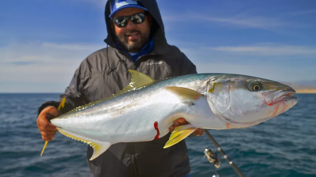 Fishing trips in La Paz