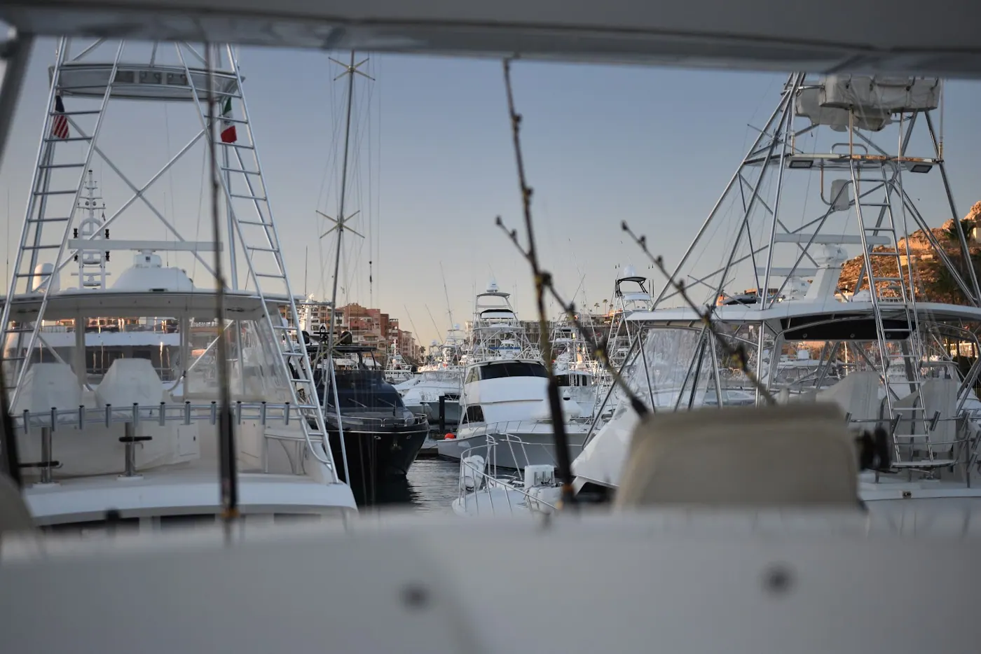 Catch photo shared by Matt Cavezza on their Tag Cabo Sportfishing review