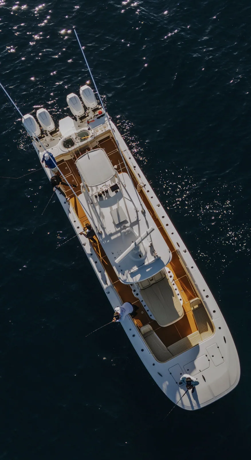 Cabo San Lucas sportfishing with Tag Cabo Sportfishing