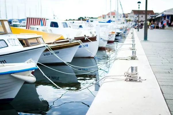 The Best Areas For Deep Sea Sports Fishing In Cabo San Lucas