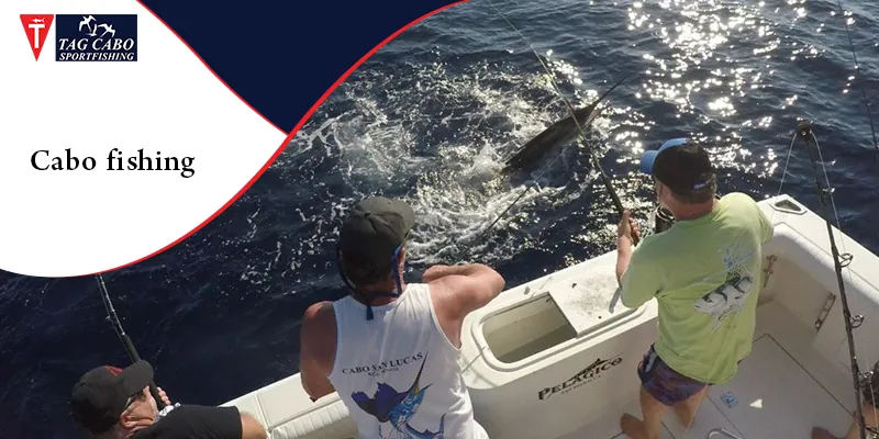 What are the popular fishing choices in Cabo, San Lucas?