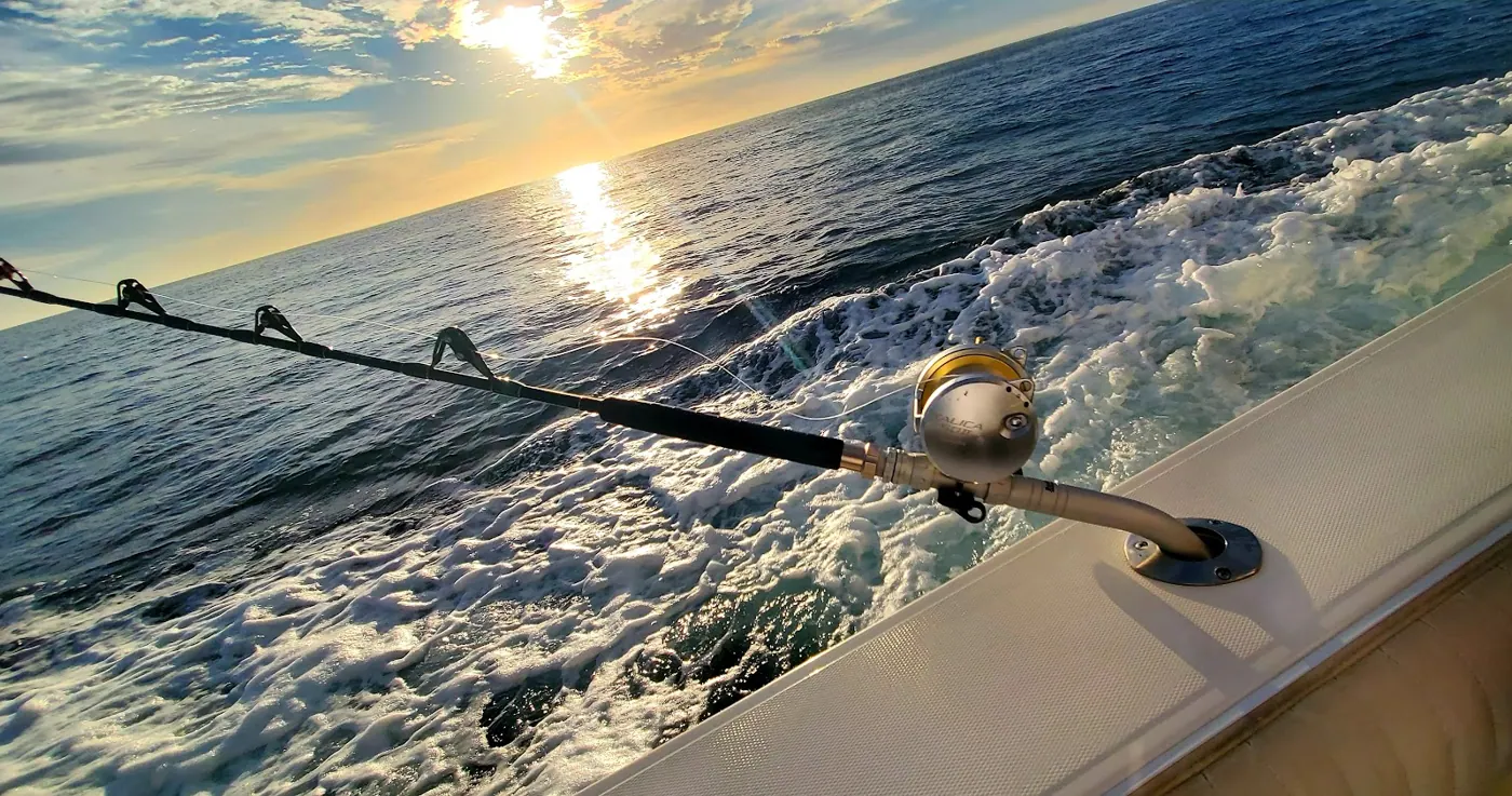 Catch photo shared by Bradley Pollmann on their Tag Cabo Sportfishing review