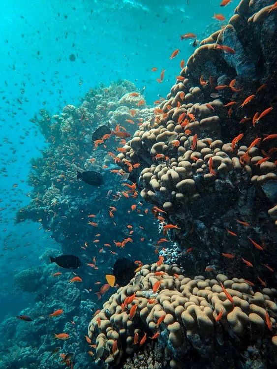 Gold Mines at Sea: 3 Best Locations for Fishing