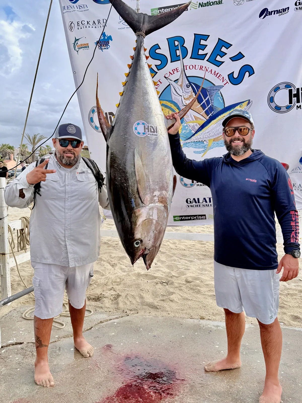 Yellowfin Tuna