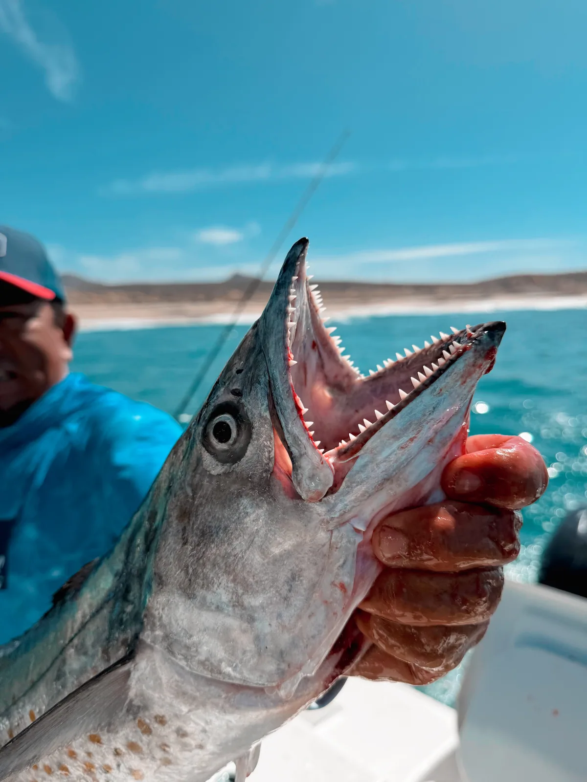 Cabo San Lucas sportfishing with Tag Cabo Sportfishing