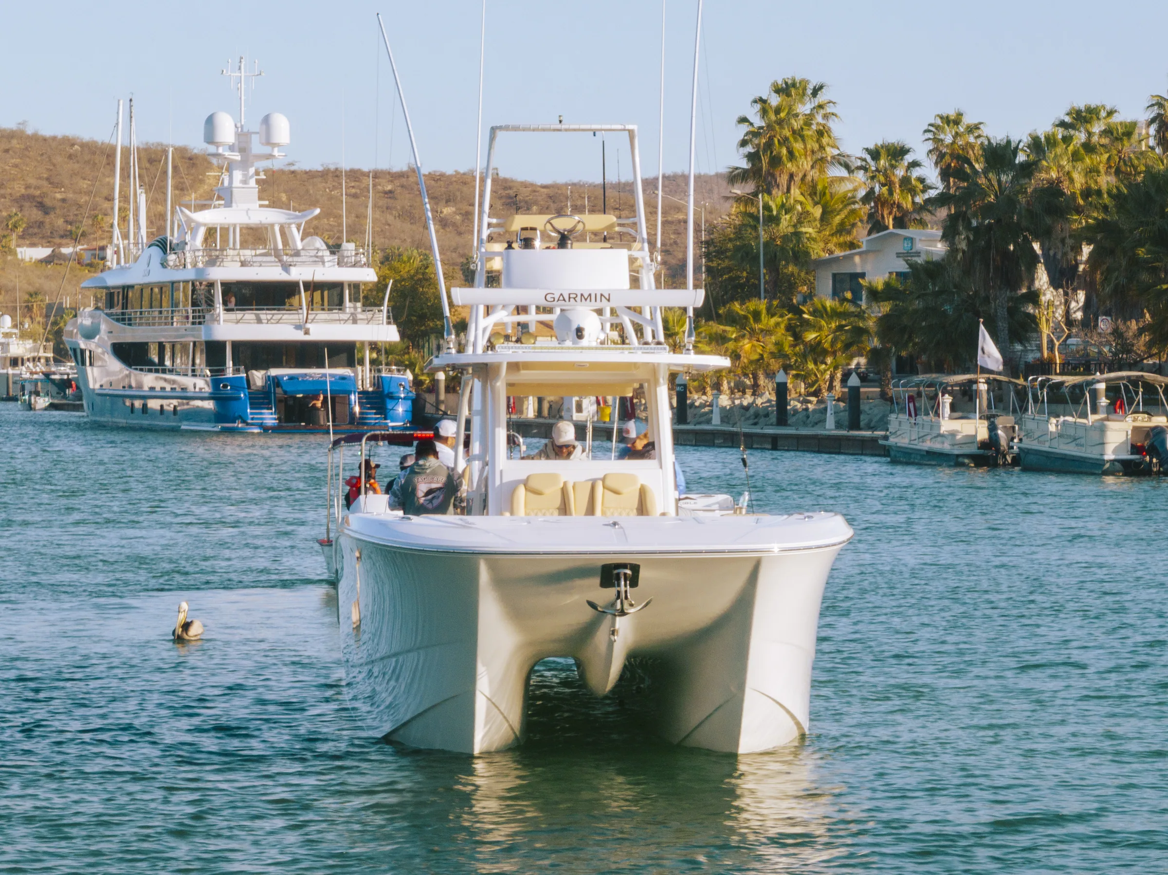 Cabo San Lucas sportfishing with Tag Cabo Sportfishing