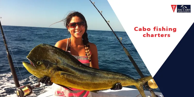 Cabo San Lucas Fishing – Best Fish Species to Catch in September 2021