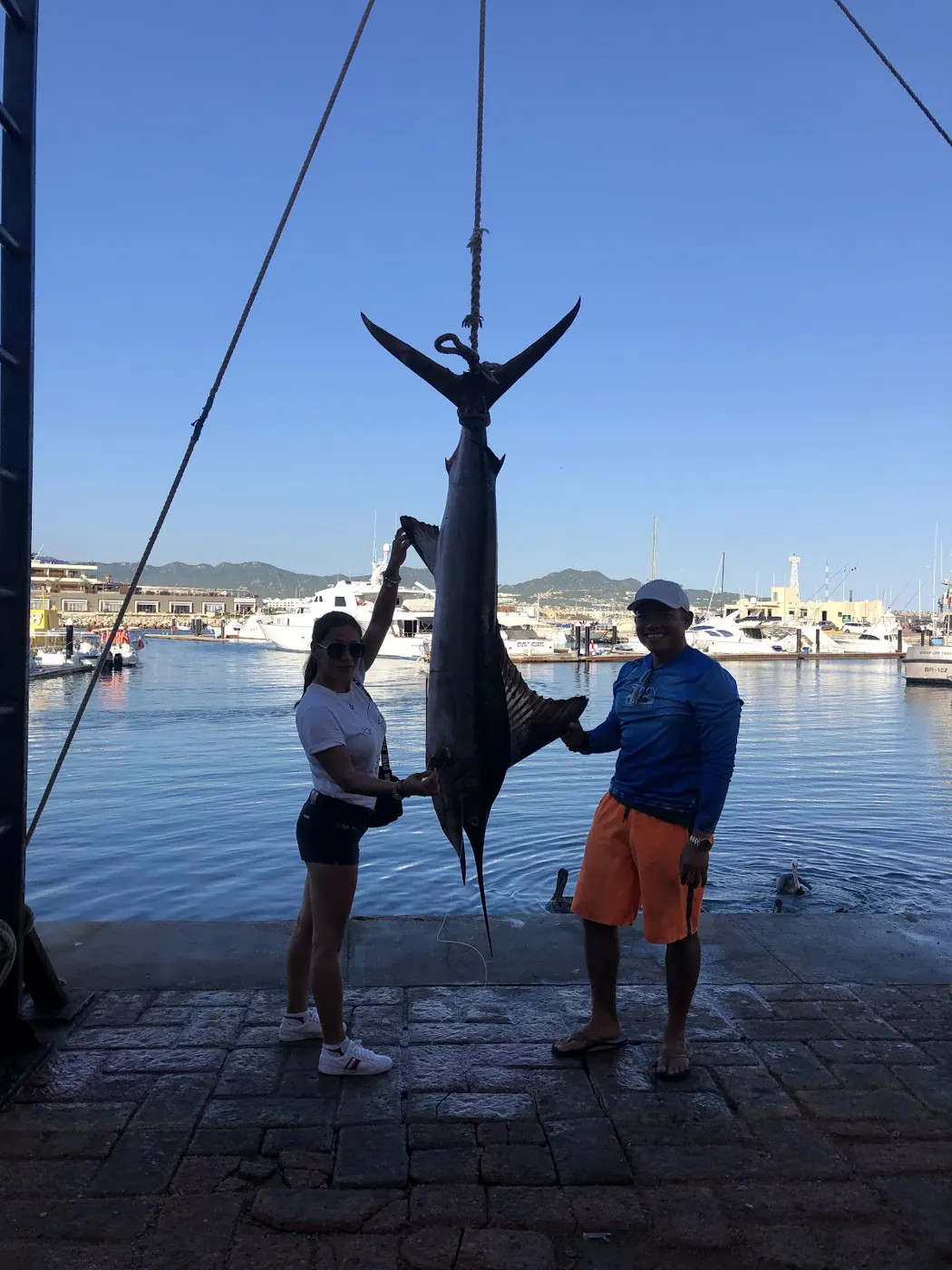 Catch photo shared by Andy’s Pressure Cleaning LLC on their Tag Cabo Sportfishing review
