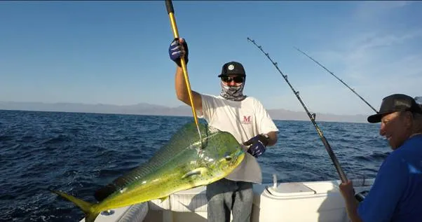 Here Are Some Cabo San Lucas Fishing Techniques and Tips