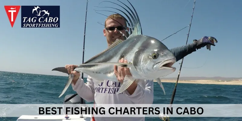 The Best Seasonal Fish to Catch on a Cabo San Lucas Fishing Charters