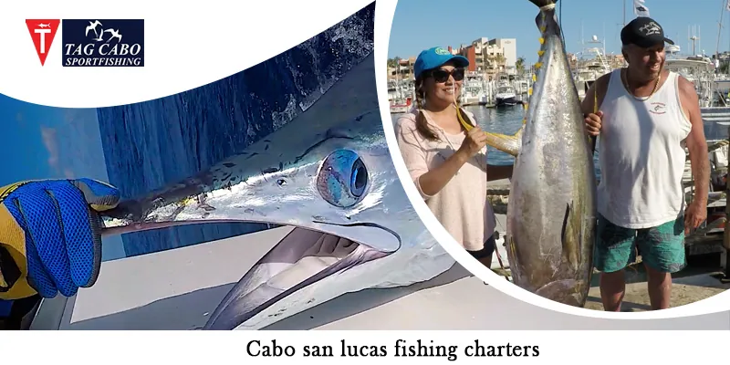 How Fishing Charter Make Deep-sea Fishing More Relaxing