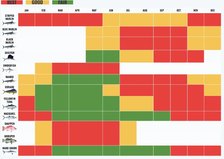 Cabo San Lucas fishing Calendar