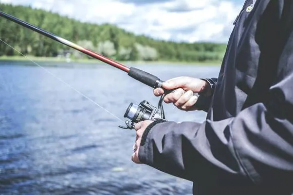3 Tips to Find the Best Time to Fish in Mag Bay