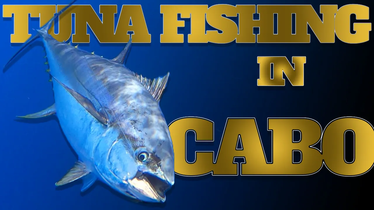 tuna fishing in Cabo San Lucas