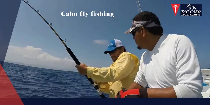 Spin Fishing vs. Fly Fishing: Decoding the Differences!