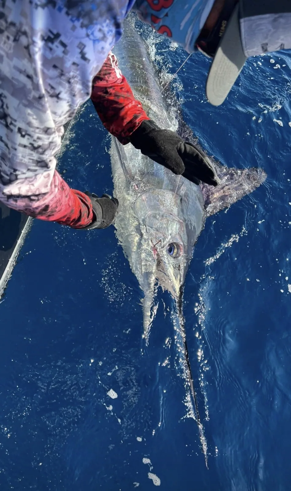 Cabo San Lucas sportfishing with Tag Cabo Sportfishing
