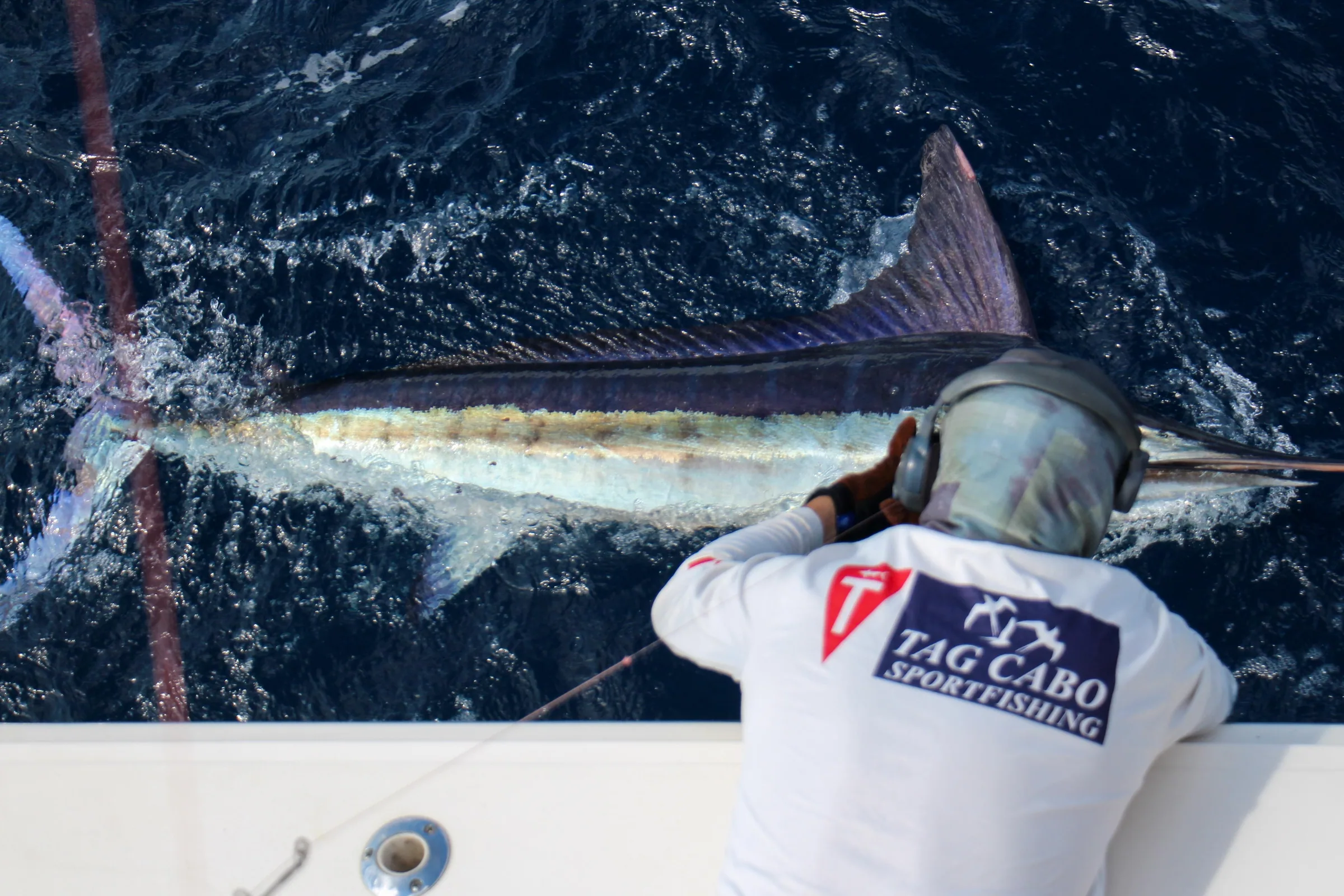 Cabo San Lucas sportfishing with Tag Cabo Sportfishing