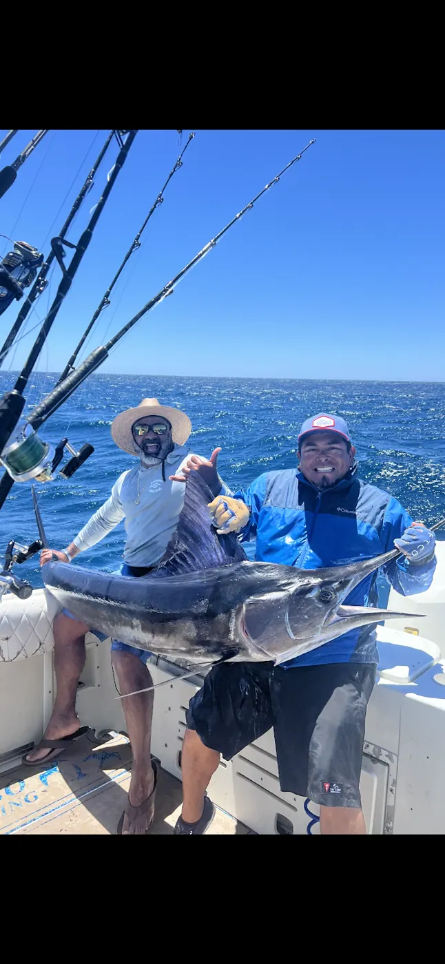 Catch photo shared by MarySu Correa on their Tag Cabo Sportfishing review