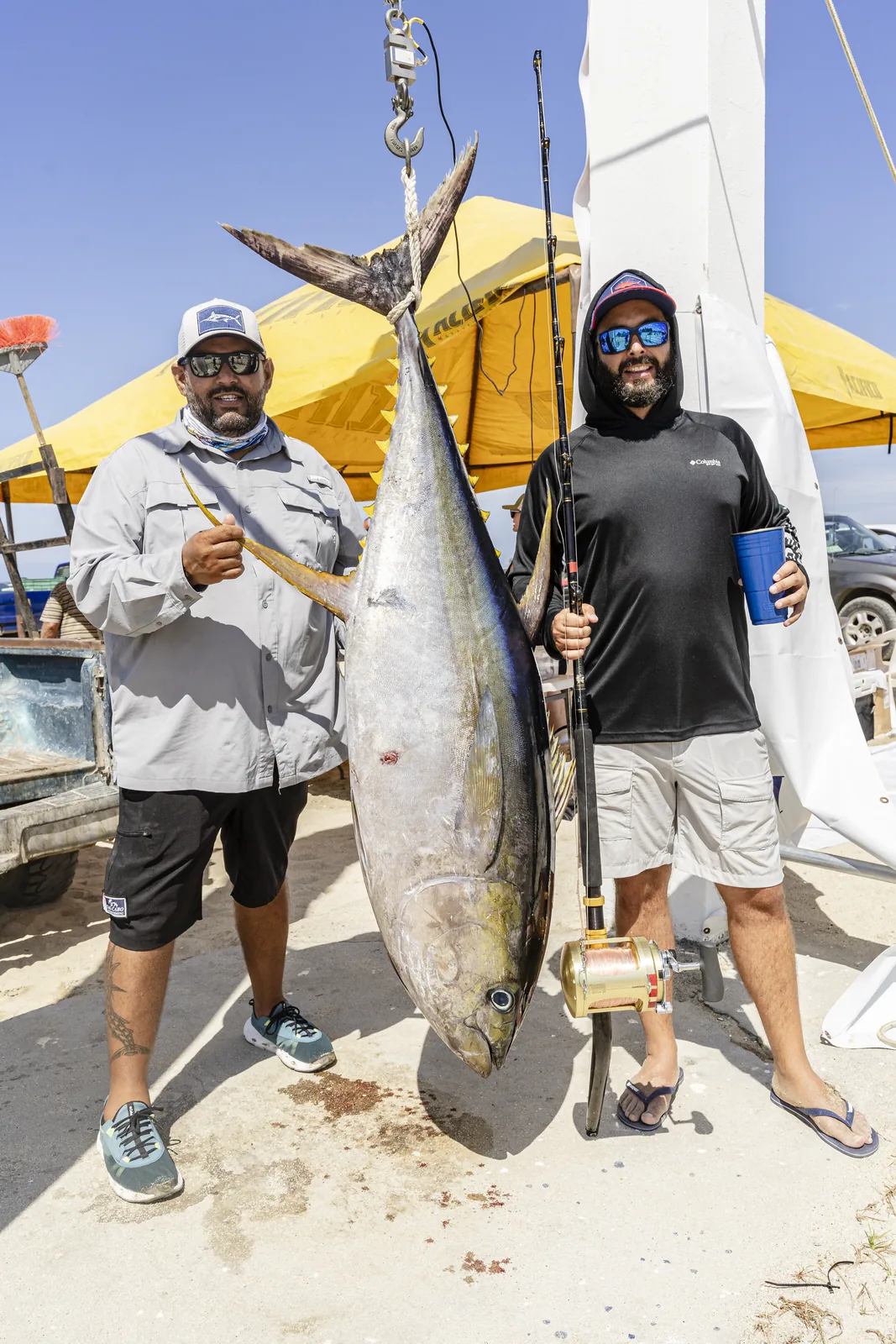 Cabo San Lucas sportfishing with Tag Cabo Sportfishing