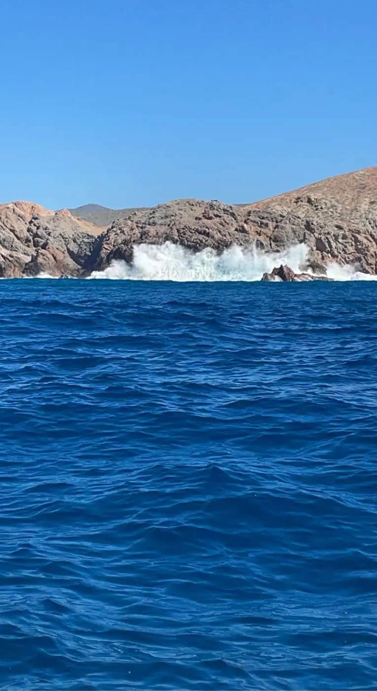 Catch photo shared by Daniel Valentine on their Tag Cabo Sportfishing review