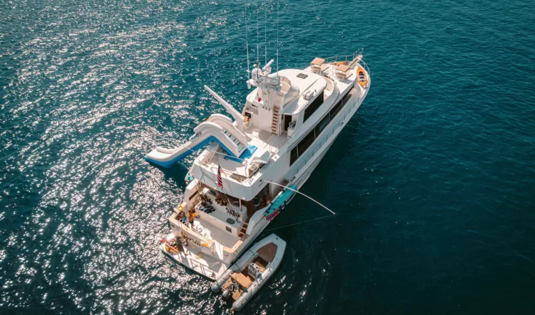 Cabo San Lucas sportfishing with Tag Cabo Sportfishing