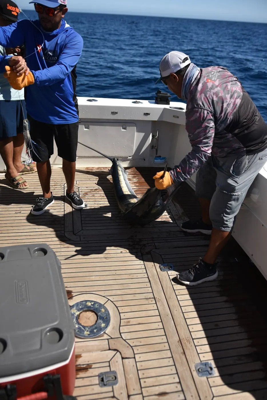 Catch photo shared by Matt Cavezza on their Tag Cabo Sportfishing review