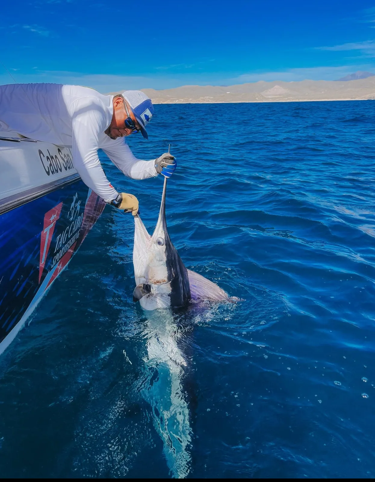Cabo San Lucas sportfishing with Tag Cabo Sportfishing