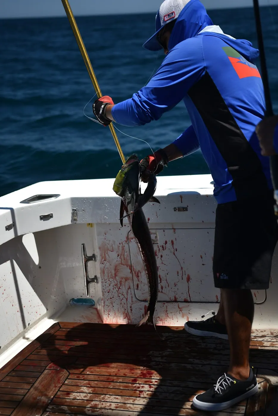 Catch photo shared by Matt Cavezza on their Tag Cabo Sportfishing review