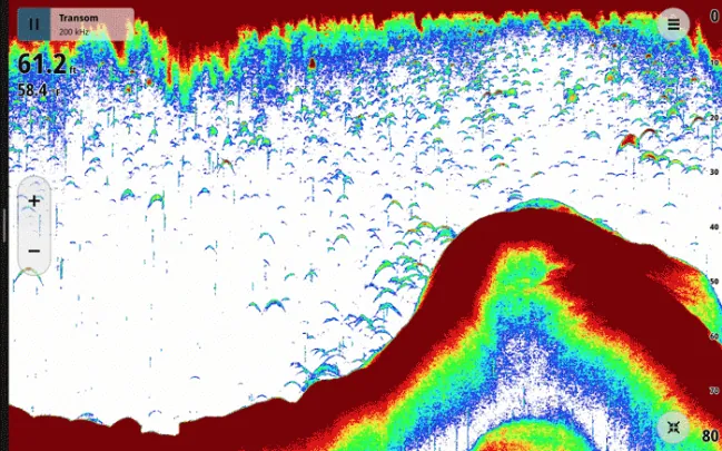 Understanding Fish Identification Through Modern Sonar Technology
