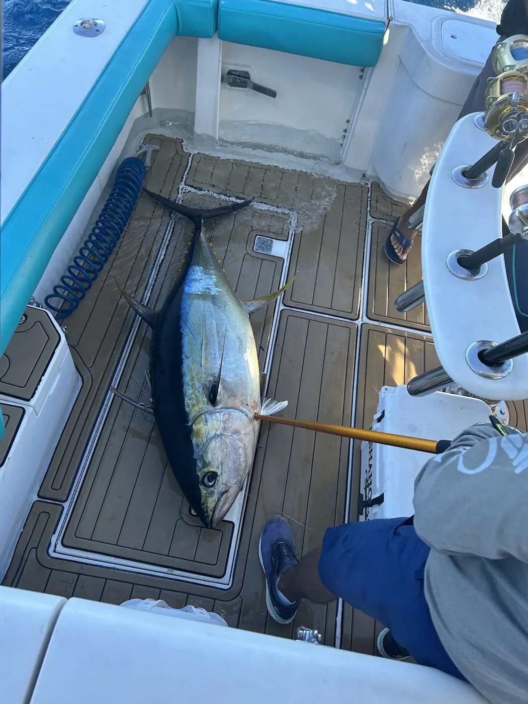 Catch photo shared by Judd Chamberlain on their Tag Cabo Sportfishing review