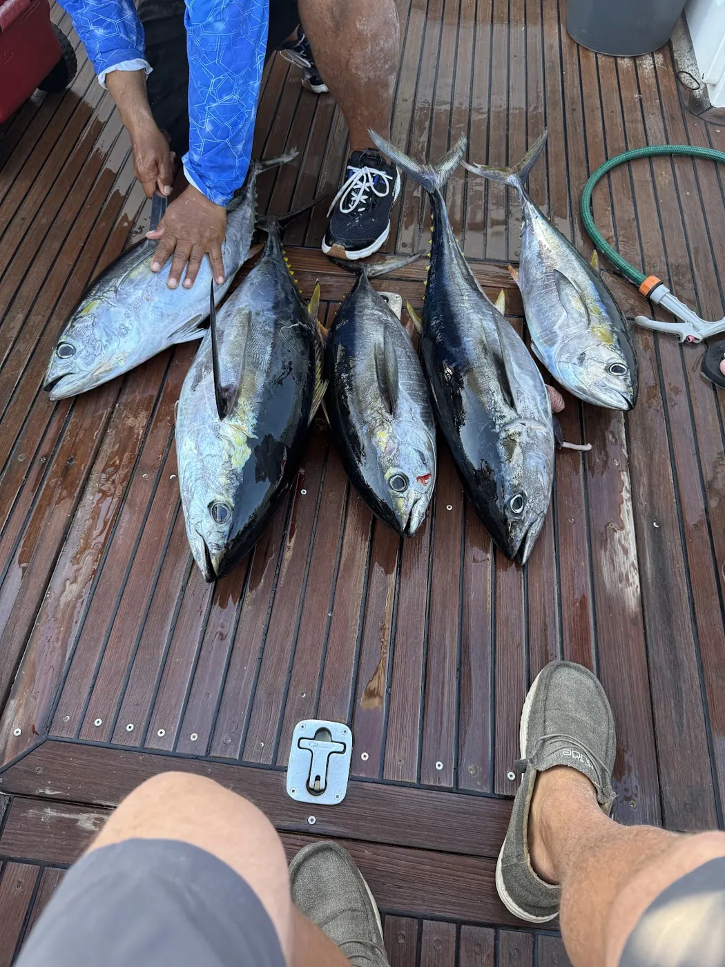 Catch photo shared by Mike Rennick on their Tag Cabo Sportfishing review