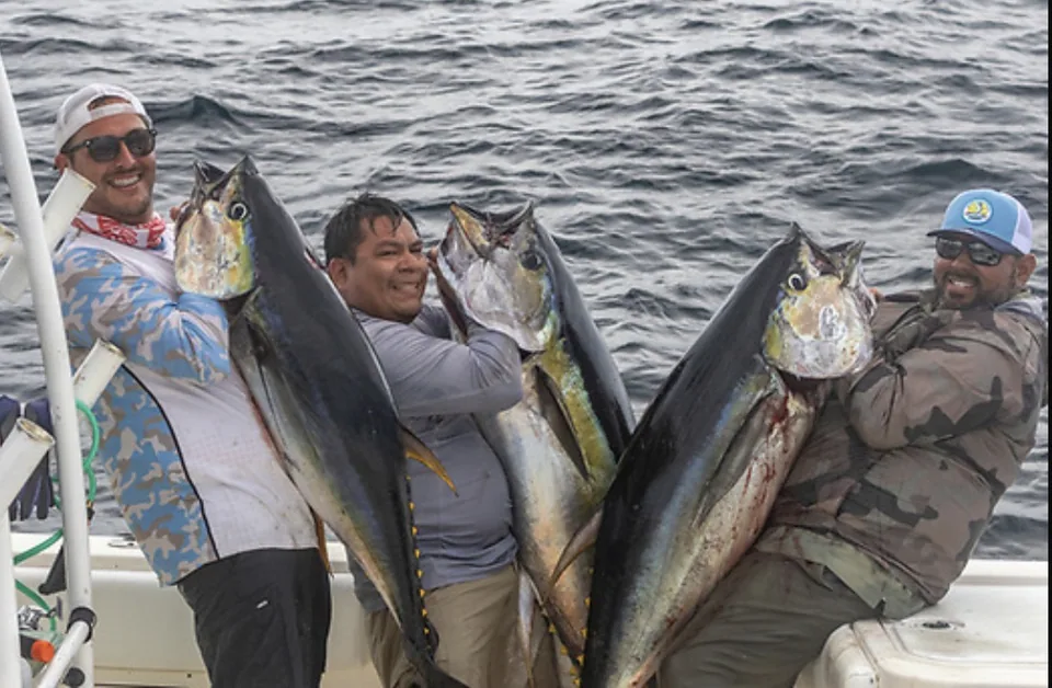 Cabo San Lucas sportfishing with Tag Cabo Sportfishing
