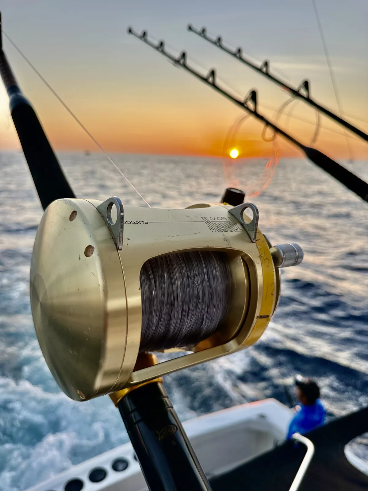 Cabo San Lucas sportfishing with Tag Cabo Sportfishing