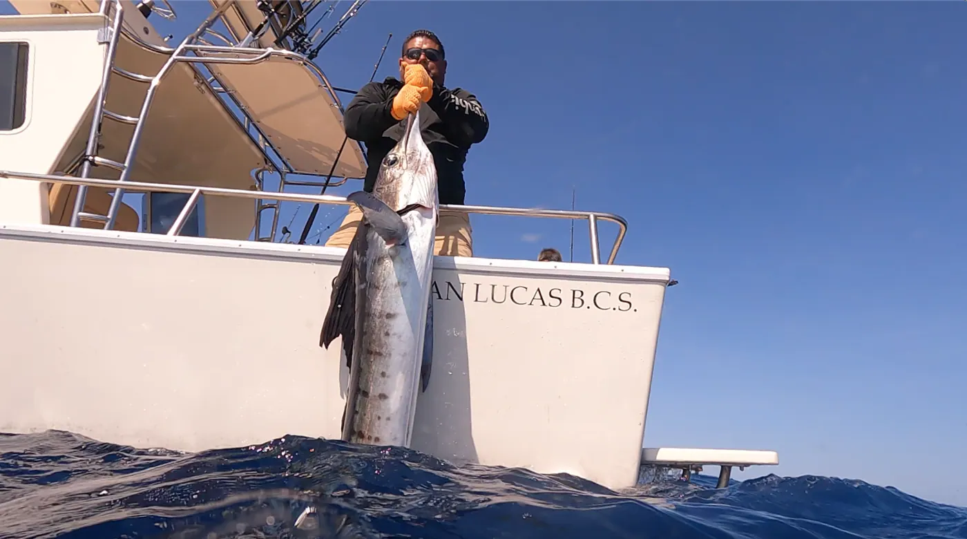 Catch photo shared by Keith Lusher Jr on their Tag Cabo Sportfishing review