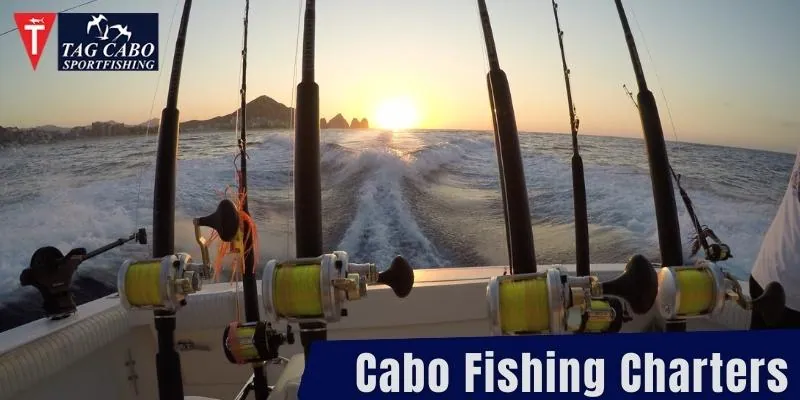 5 Tips for Choosing a Good Fishing Charters Cabo San Lucas