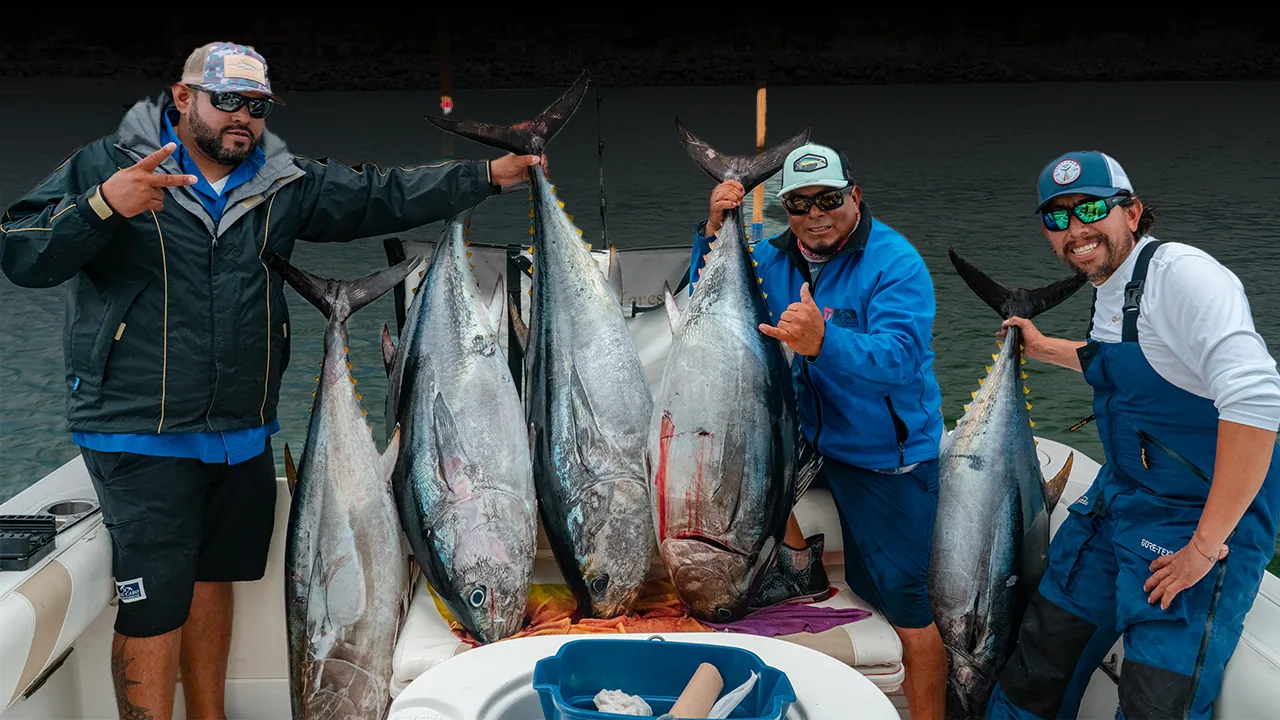 Here Are The Best Fishing Spots In La Baja