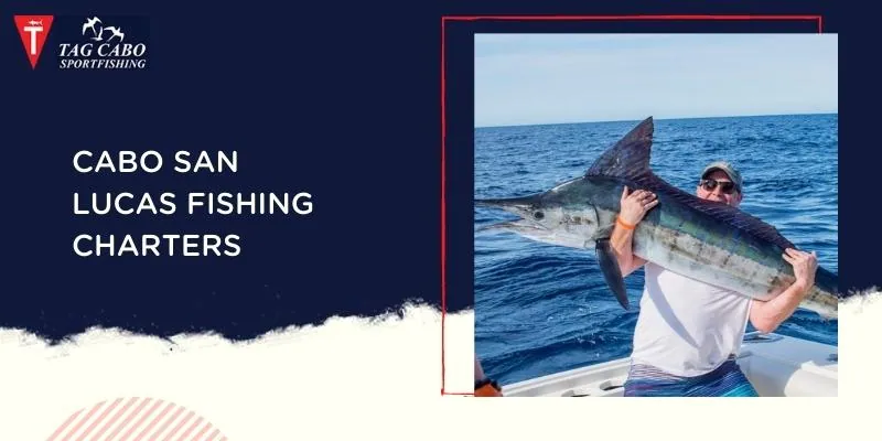 Cabo San Lucas Fishing in February Month – Tag Cabo Sportfishing