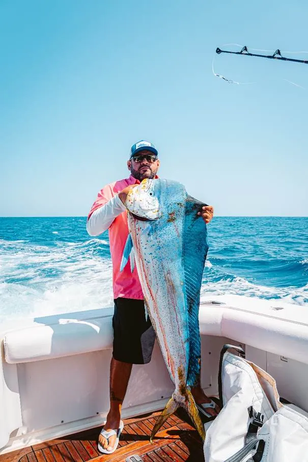 Dorado Fishing Tips In Cabo