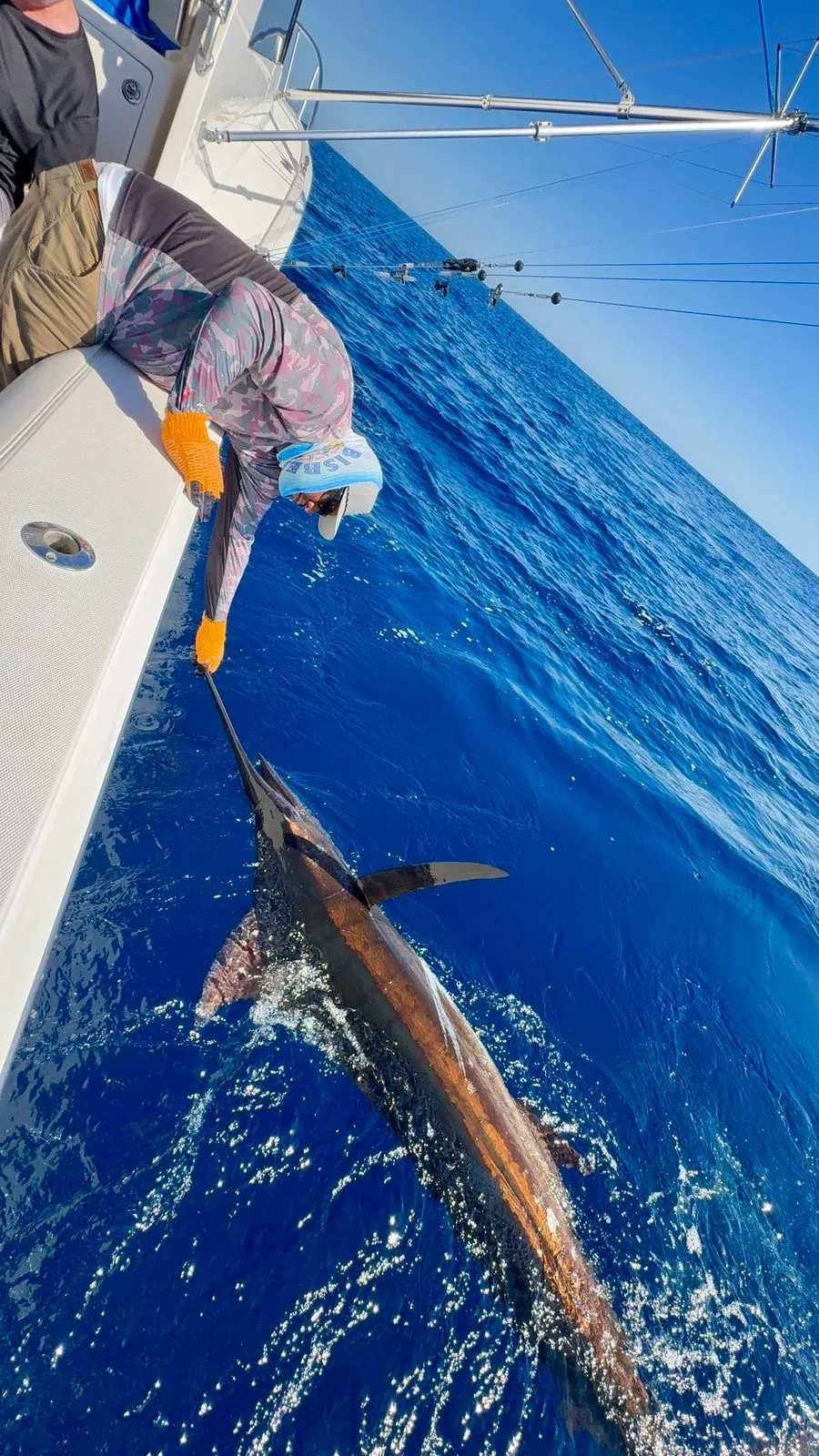 Cabo San Lucas sportfishing with Tag Cabo Sportfishing