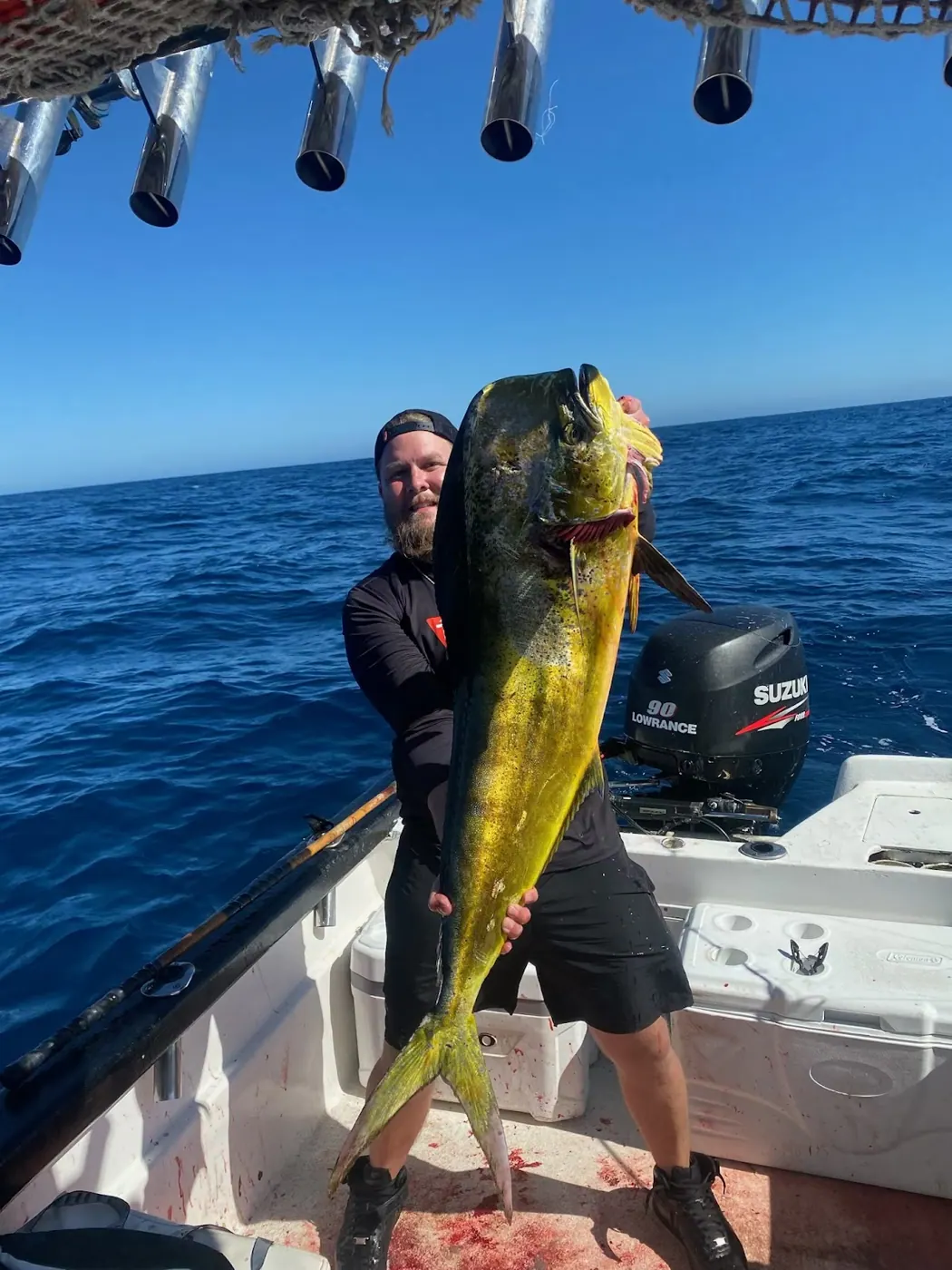Catch photo shared by Vince Pangallo on their Tag Cabo Sportfishing review