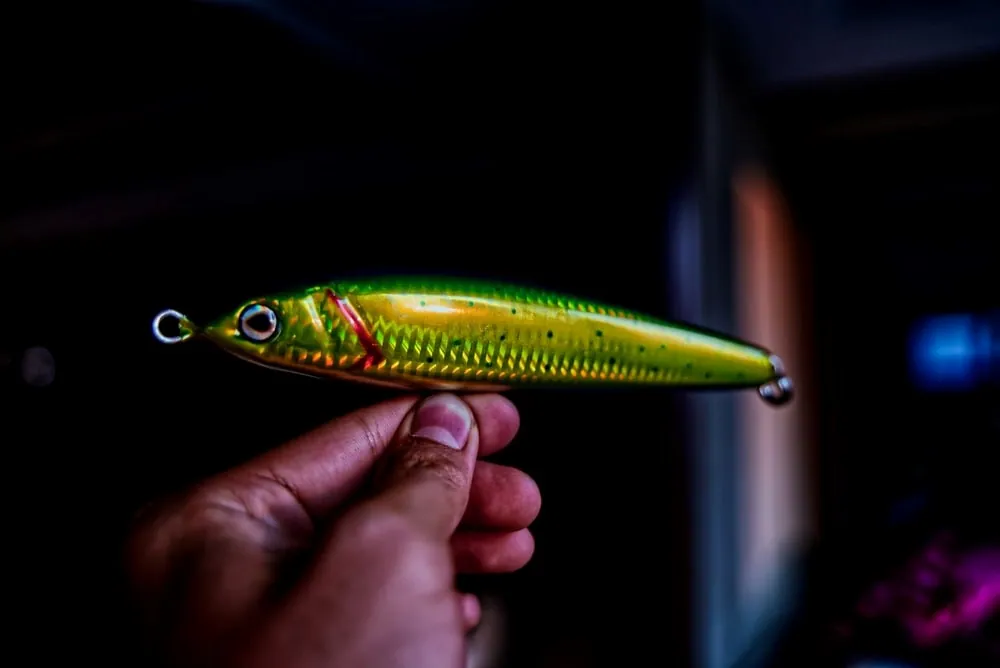 Beginners Fishing Gear Checklist To Follow