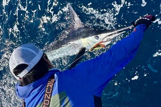 Cabo San Lucas sportfishing with Tag Cabo Sportfishing