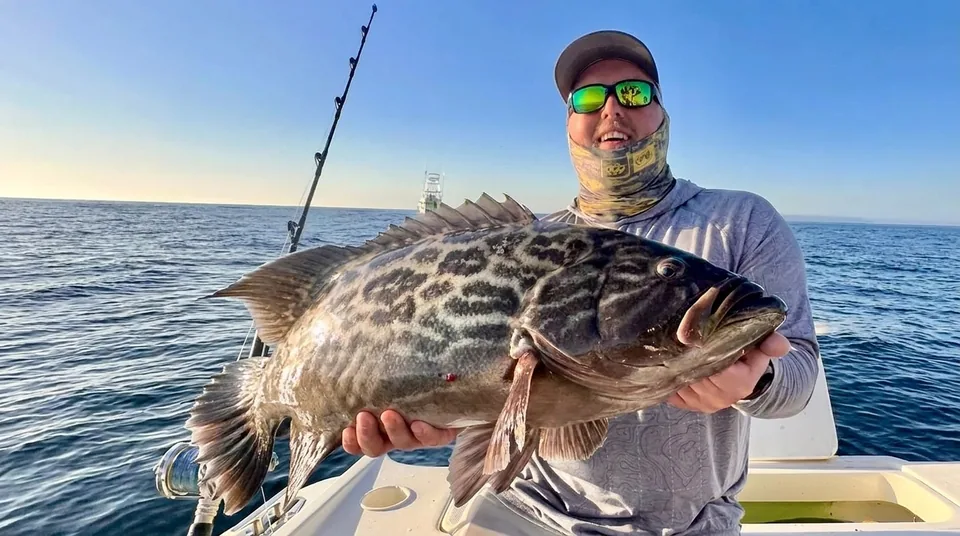 Angler holding a broomtail grouper caught in the Sea of Cortez