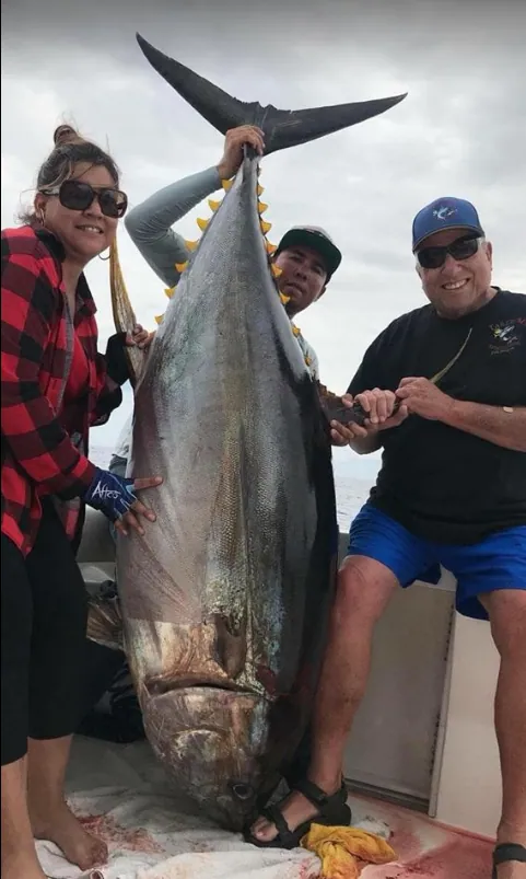 The big yellowfin tunas are in town!