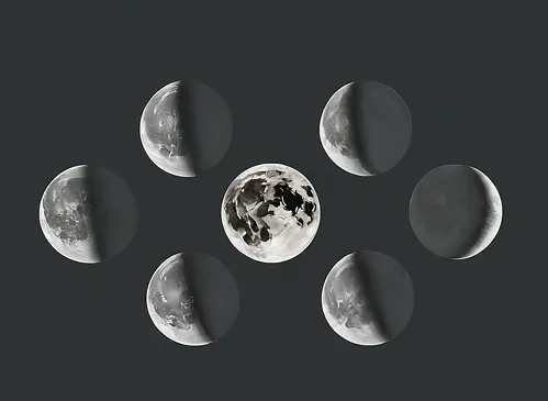 The Moon's Phases and Sportfishing: A Cabo Perspective