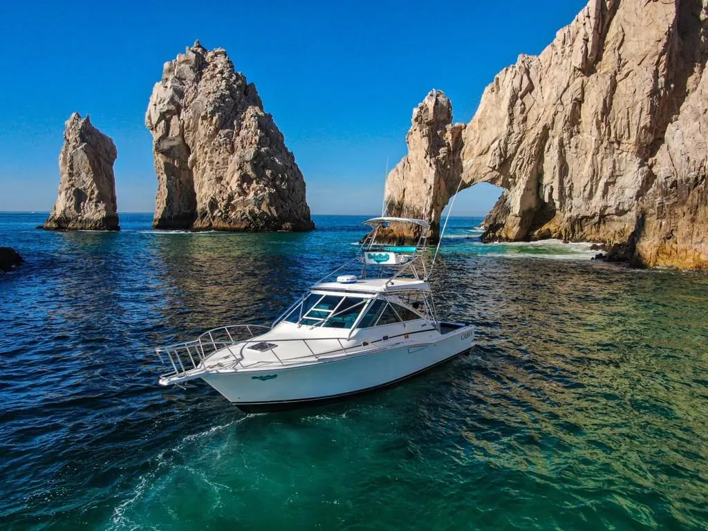 Best Time to Go Fishing in Cabo San Lucas