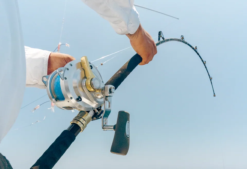 Cabo San Lucas sportfishing with Tag Cabo Sportfishing